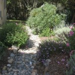 Decorative drainage swale, handles rain water