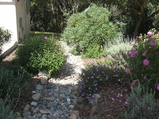 Decorative drainage swale, handles rain water